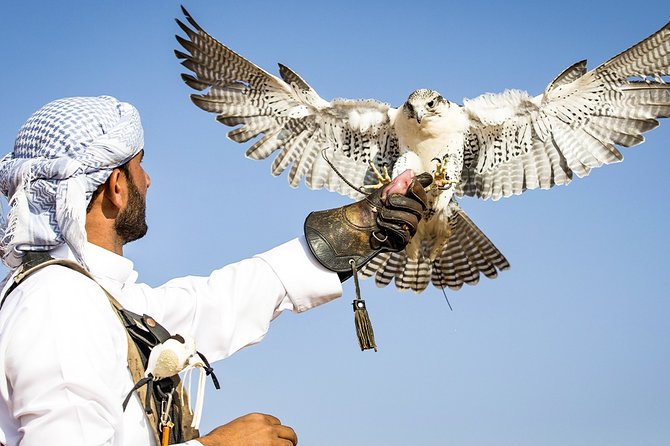 Abu Dhabi: 7-Hours Desert Safari With Bbq, Camel Ride & Sandboarding - Shisha Relaxation