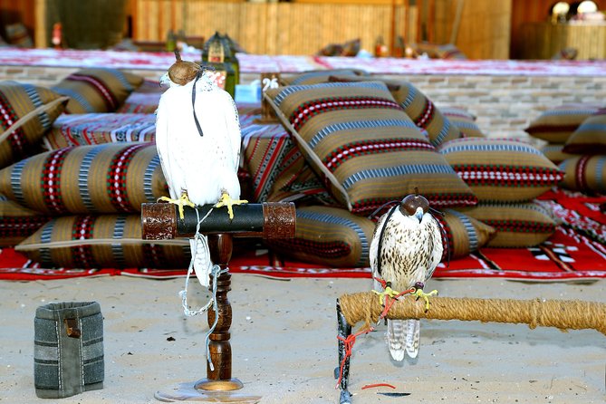Abu Dhabi Afternoon Desert Safari and BBQ Dinner - Journey Across the Abu Dhabi Desert