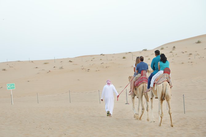 Abu Dhabi City Tour and Desert Safari - Booking and Pricing