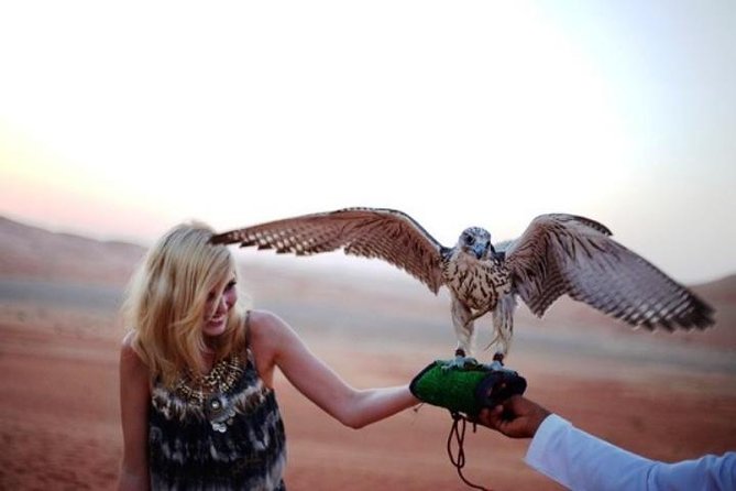 Abu Dhabi Desert Safari 4x4, BBQ Dinner, Camel Ride - Outdoor Adventure Activities