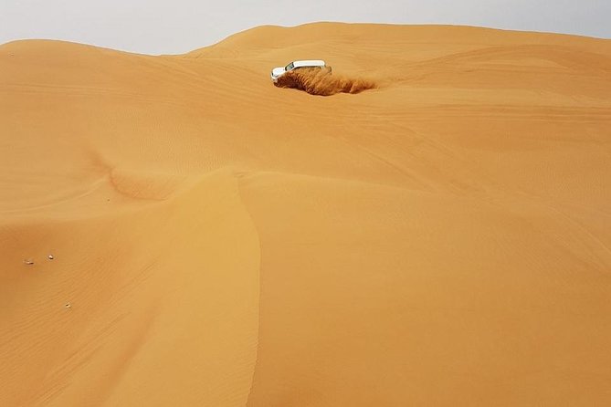 Abu Dhabi Desert Safari 4x4, BBQ Dinner, Camel Ride - Transportation and Logistics
