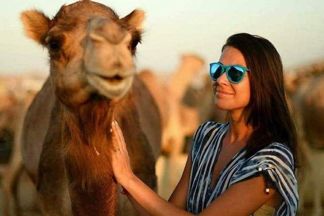 Abu Dhabi Desert Safari 4x4, BBQ Dinner, Camel Ride - Pricing and Booking