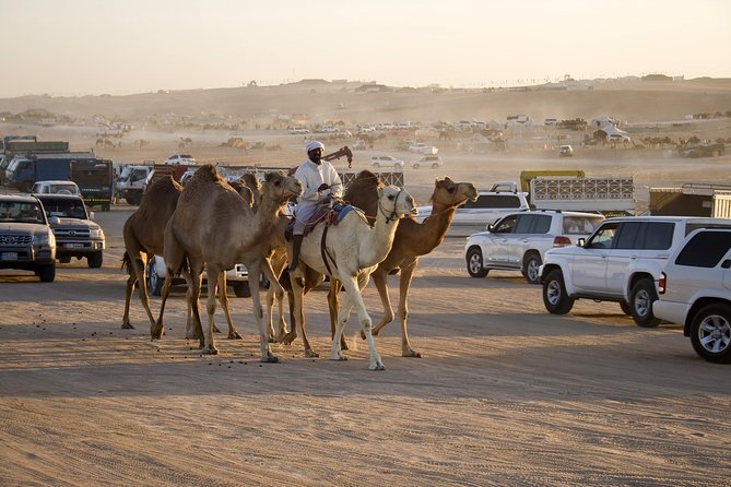 Abu Dhabi Desert Safari For 6-Hour Include BBQ Dinner - Review Highlights