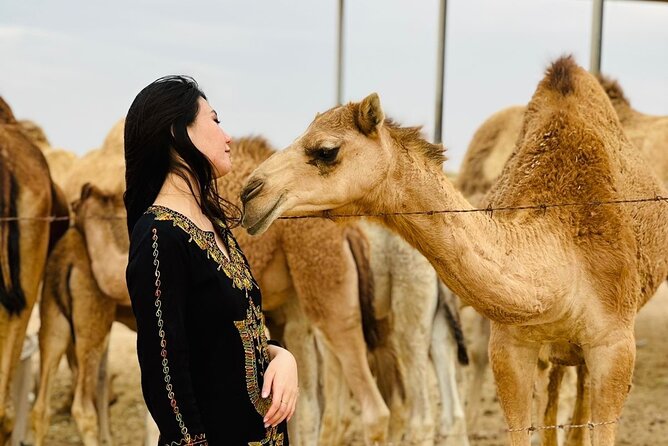 Abu Dhabi Desert Safari With BBQ Dinner & Live Shows - Dune Bashing and Sand Boarding