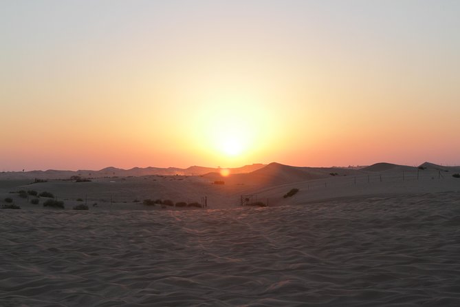 Abu Dhabi Desert Safari With BBQ Dinner & Shows - Sand Boarding Adventure