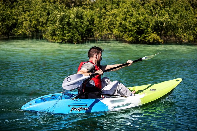 Abu Dhabi Eastern Mangrove Lagoon National Park Kayaking - Guided Tour - Traveler Experience