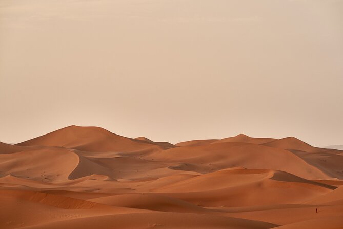 Abu Dhabi Evening Desert Safari Tour With Shows and BBQ Dinner - Cancellation and Booking