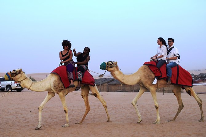 Abu Dhabi Evening Desert Safari With BBQ Dinner and All Camp Activities - Inclusions and Exclusions