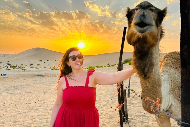 Abu Dhabi: Evening Desert Safari With Camel Ride, BBQ & Live Show - Inclusions