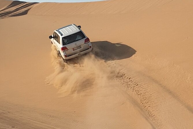 Abu Dhabi Full-Day Desert Safari - Exploring the Camel Farm