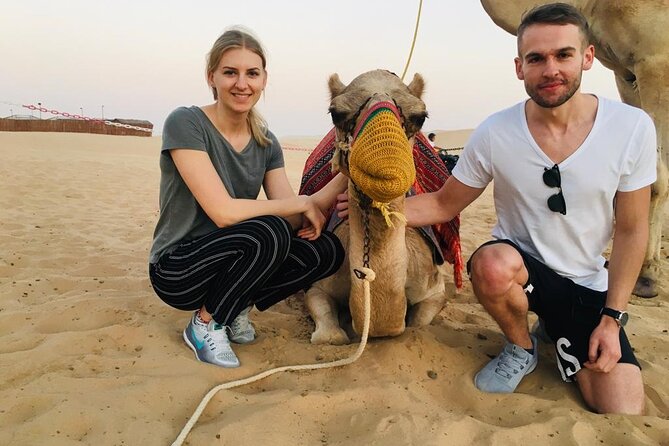 Abu Dhabi Full-Day Desert Safari - Comfortable Transportation Provided