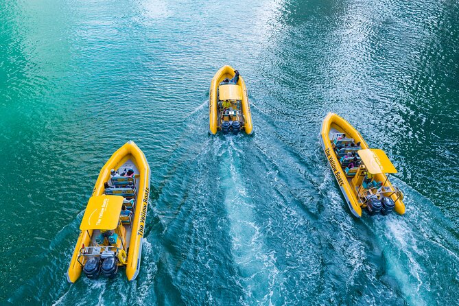 Abu Dhabi Guided Sightseeing Boat Tours - Inclusions and Exclusions of the Tour