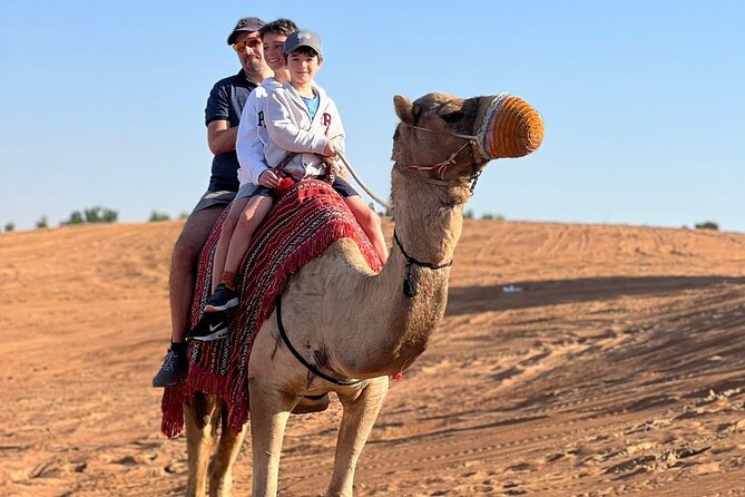 Abu Dhabi Morning Desert Safari - Private Car - Dune Bashing Adventure