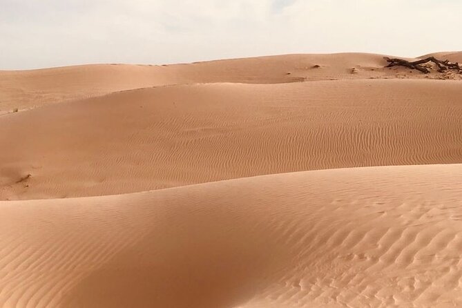 Abu Dhabi Morning Desert Safari,Dune Bashing,Sandboarding,Camel Riding&Quad Bike - Additional Details