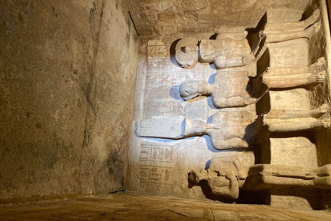 Abu Simbel Private Tour From Aswan - Group Participation