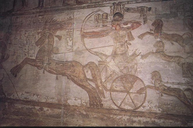 Abu Simbel Temples From Aswan - Guest Feedback and Ratings