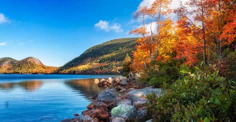 Acadia: Bar Harbor & Ocean Path Self-Guided Audio Tours - Tour Experience and Itinerary