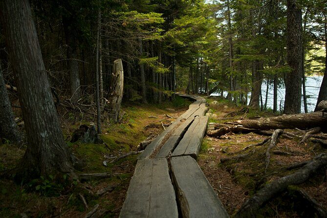 Acadia Full Day Small Group Tour & Hike - The Sum Up