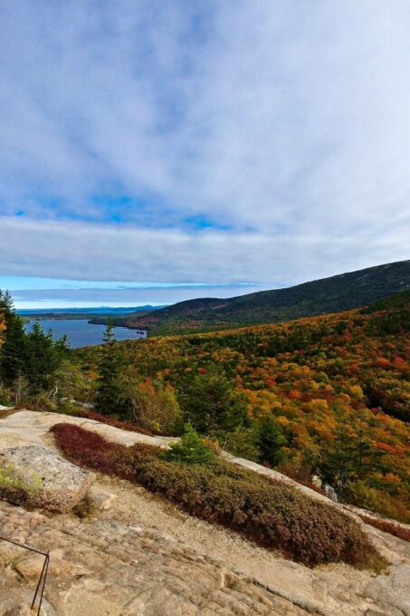 Acadia Half Day Private Bike Tour - Scenic Ride Through Acadia