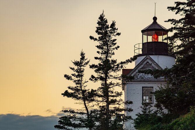 Acadia Mount Desert Island Self-Guided Driving Audio Tour - Mobile App Compatibility and Setup
