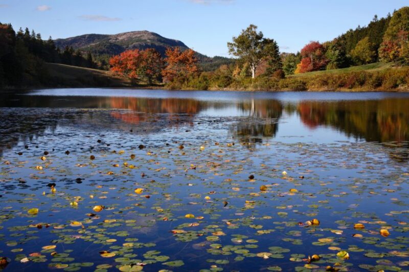 Acadia: Mount Desert Island Self-Guided Driving Tour - Tour Features