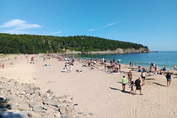Acadia Woody's Cadillac Loop 3 Hour Driving Tour - A Deep Dive into the Cadillac Loop Experience