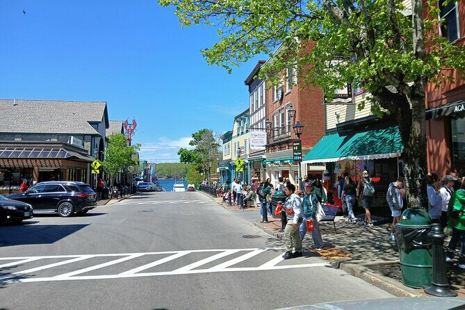 Acadia Woody's Cadillac Loop 3 Hour Driving Tour - Practical Details & Tips
