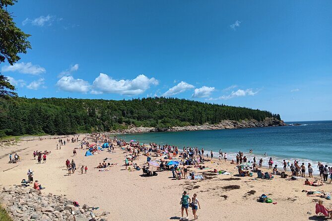 Acadia Woody's Utmost Coast 3 Hour Driving Tour - Key Points
