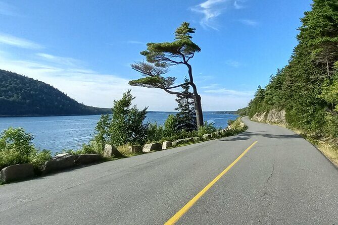 Acadia Woody's Utmost Coast 3 Hour Driving Tour - FAQ