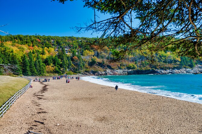 Acadias Ocean Path Self-Guided Walking Audio Tour - Key Points