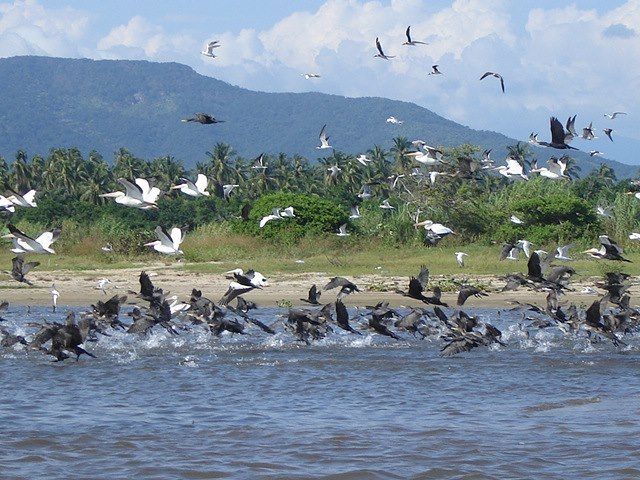 .Acapulco: 6-Hour Coyuca Lagoon Tour - Tour Inclusions
