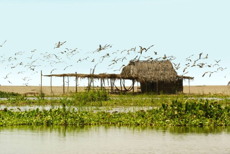 .Acapulco: 6-Hour Coyuca Lagoon Tour - Language and Group Options