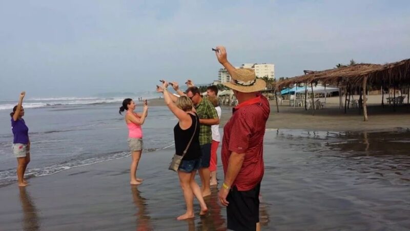 .Acapulco: 6-Hour Coyuca Lagoon Tour - Customer Feedback