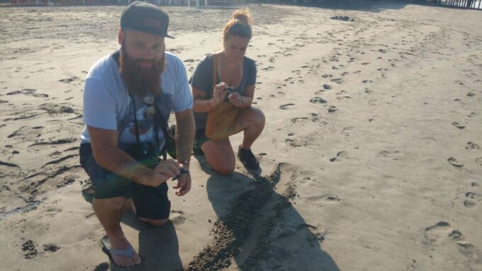 .Acapulco: 6-Hour Coyuca Lagoon Tour - Turtle Release