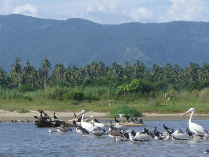 .Acapulco: 6-Hour Coyuca Lagoon Tour - Frequently Asked Questions