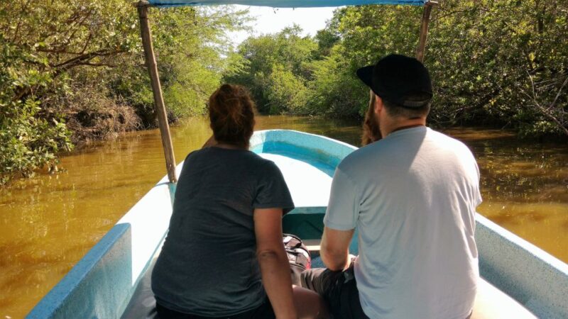 .Acapulco: Baby Turtle Release Tres Palos Lagoon Eco W/Lunch - Experience Highlights
