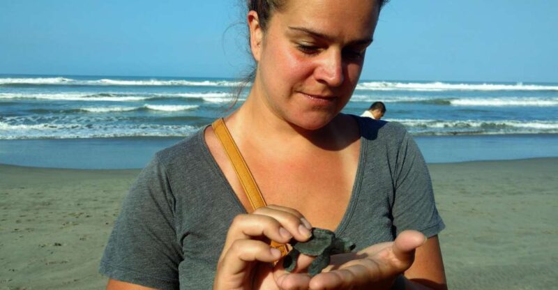 .Acapulco: Baby Turtle Release Tres Palos Lagoon Eco W/Lunch - Detailed Itinerary