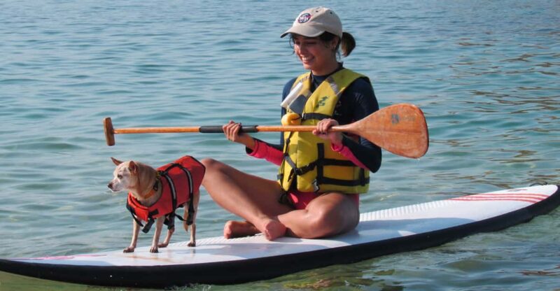Acapulco Bay 1-Hour Paddle Boarding - Participant Requirements