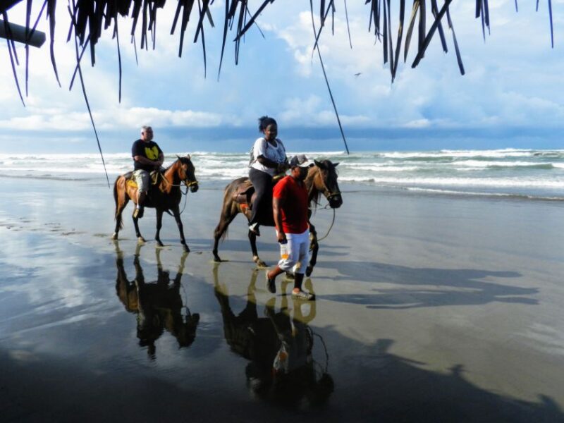 .Acapulco: Gentle Beach Horse Riding Tour on Barra Vieja - Key Points