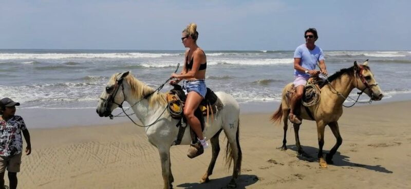 .Acapulco: Gentle Beach Horse Riding Tour on Barra Vieja - Pricing and Booking