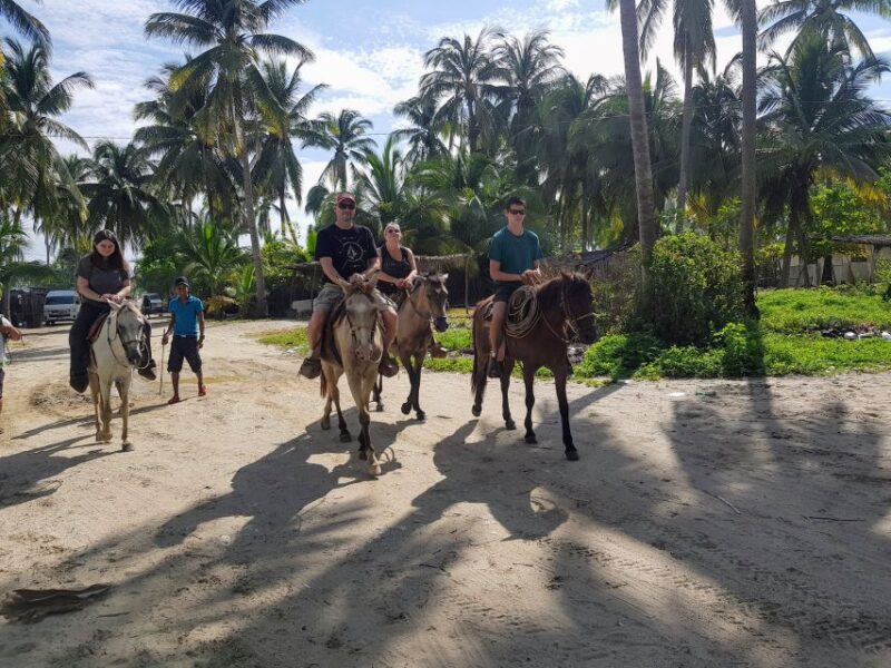 .Acapulco: Gentle Beach Horse Riding Tour on Barra Vieja - Pickup and Transportation
