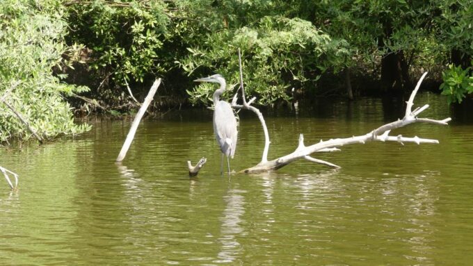 .Acapulco: Mezcal Tasting and 3 Palos Lagoon Tour With Lunch - Artisanal Mezcals Uniqueness and Rarity