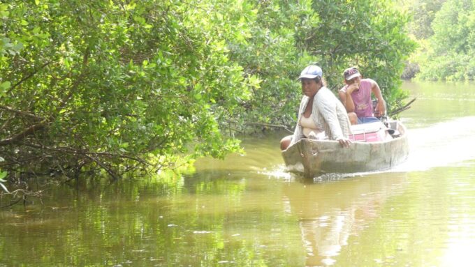 .Acapulco: Mezcal Tasting and 3 Palos Lagoon Tour With Lunch - Frequently Asked Questions