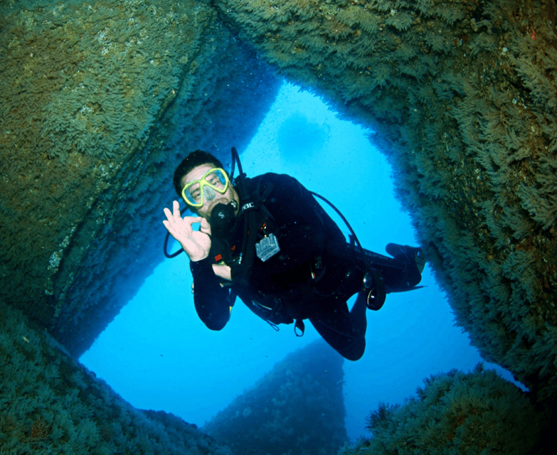 Acapulco: Scuba Diving in Roqueta Island - Key Points