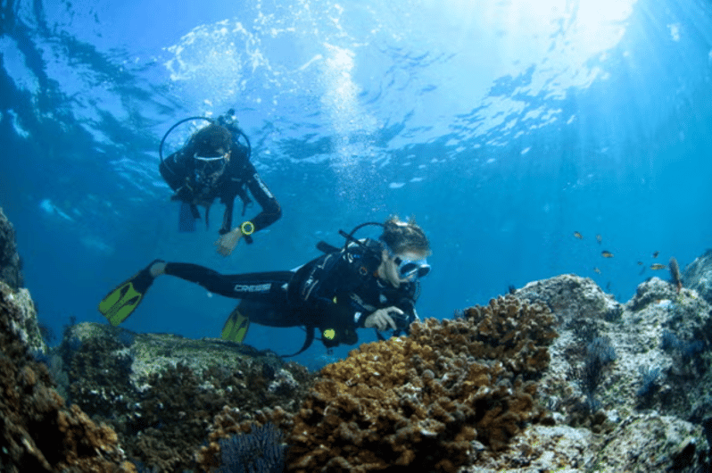 Acapulco: Scuba Diving in Roqueta Island - Experience Highlights