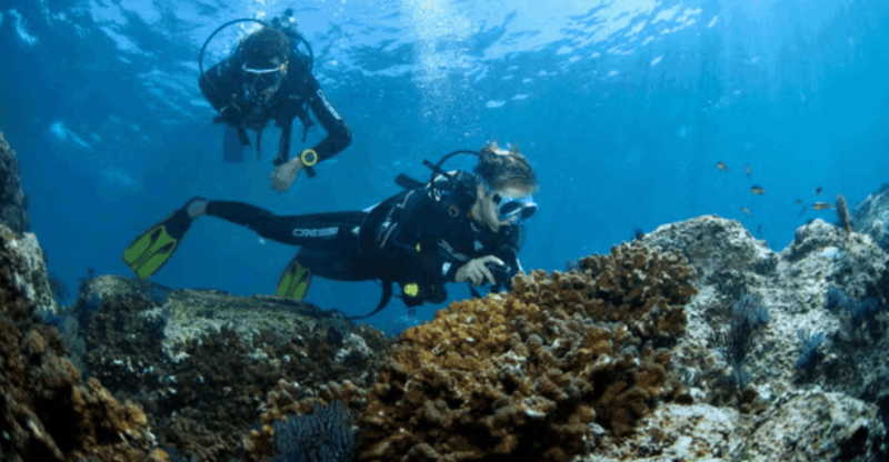 Acapulco: Scuba Diving in Roqueta Island - Tour Inclusions