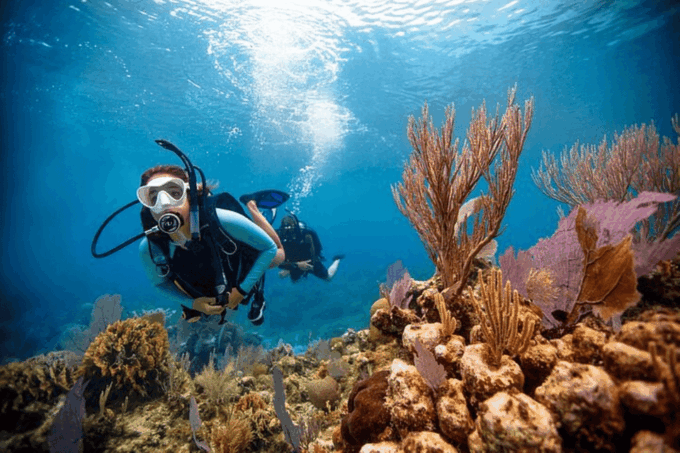 Acapulco: Scuba Diving in Roqueta Island - Availability and Scheduling