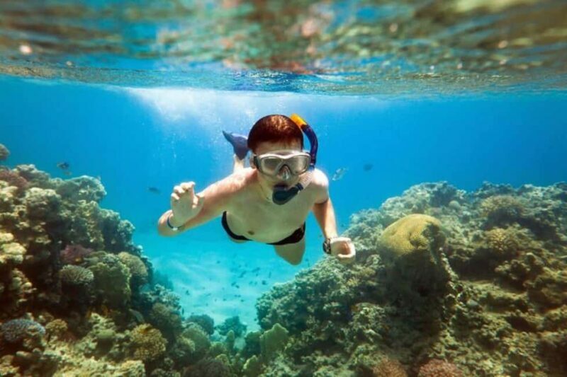 Acapulco: Snorkeling - Key Points