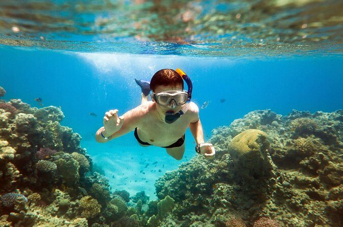 Acapulco Snorkeling Tour - Who Will Love This Tour?