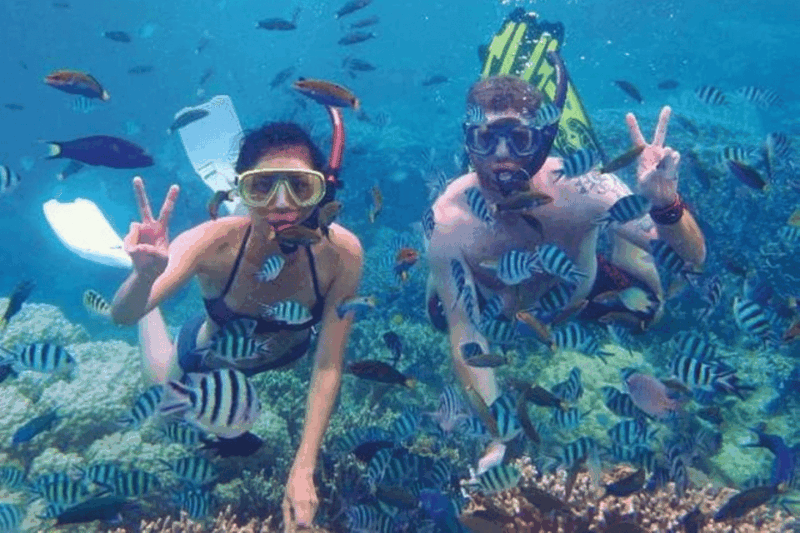 Acapulco: Snorkeling Tour With Equipment - Key Points
